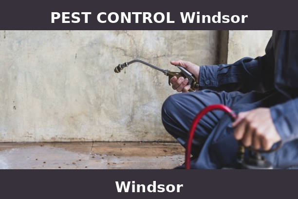 PEST CONTROL Windsor